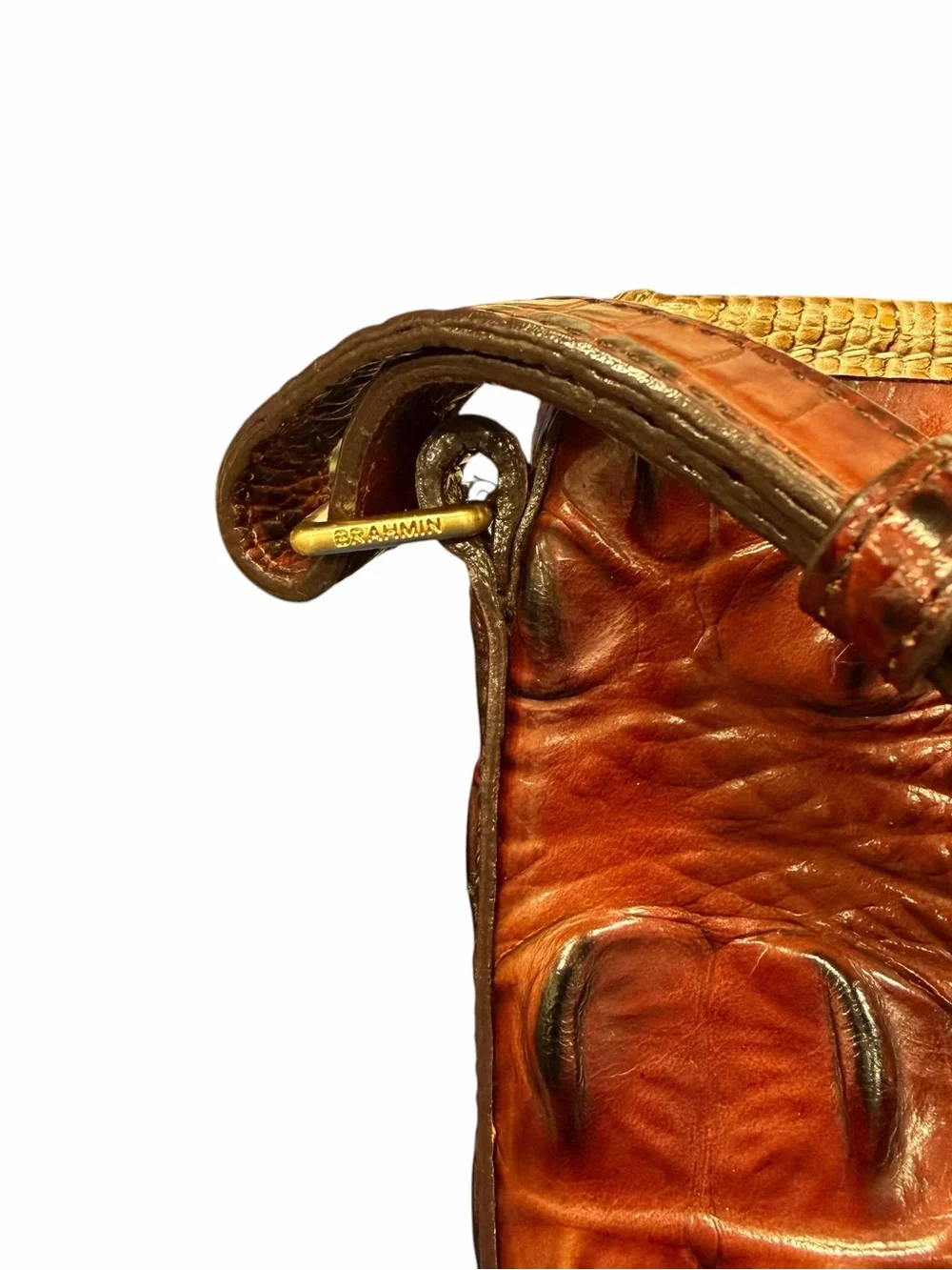 Brahmin structured croc